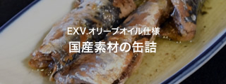 Yfނ̊ʋl